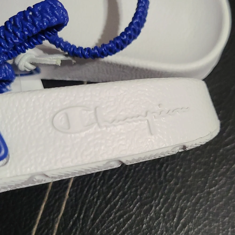 Toddler Champion slides
